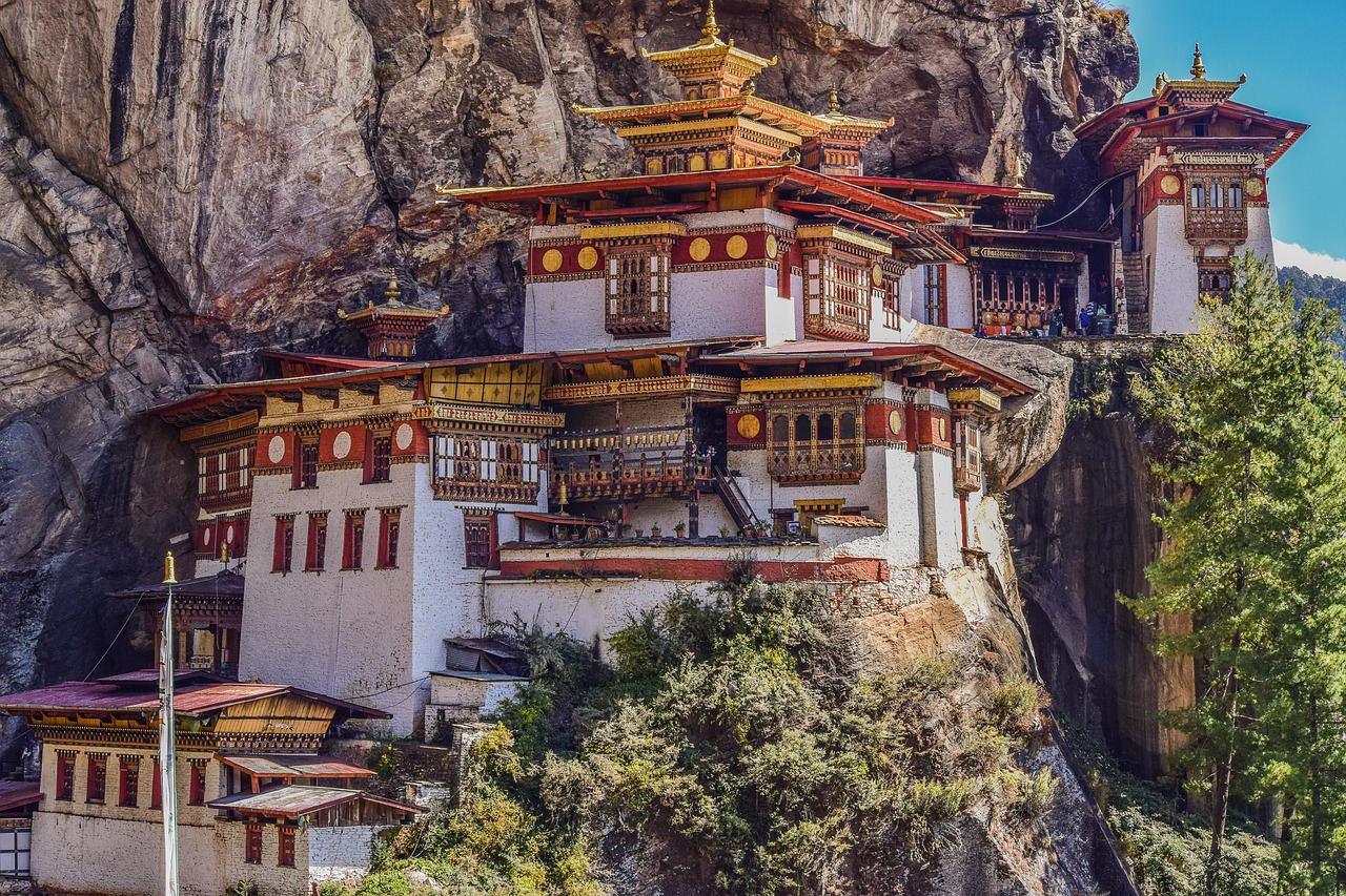 中餐厅出发路透，探寻中华美食文化的国际之旅