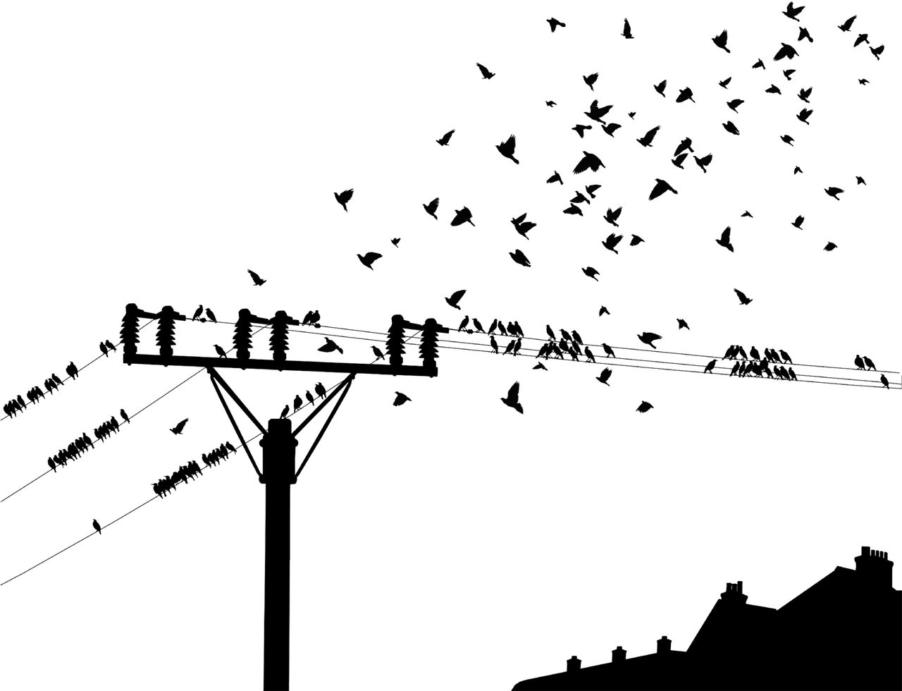 高度重视!新奥今晚三中三全数或2025年新奧资料准新_重要趋势下的选择;是否显得过于矛盾、值得解释落实