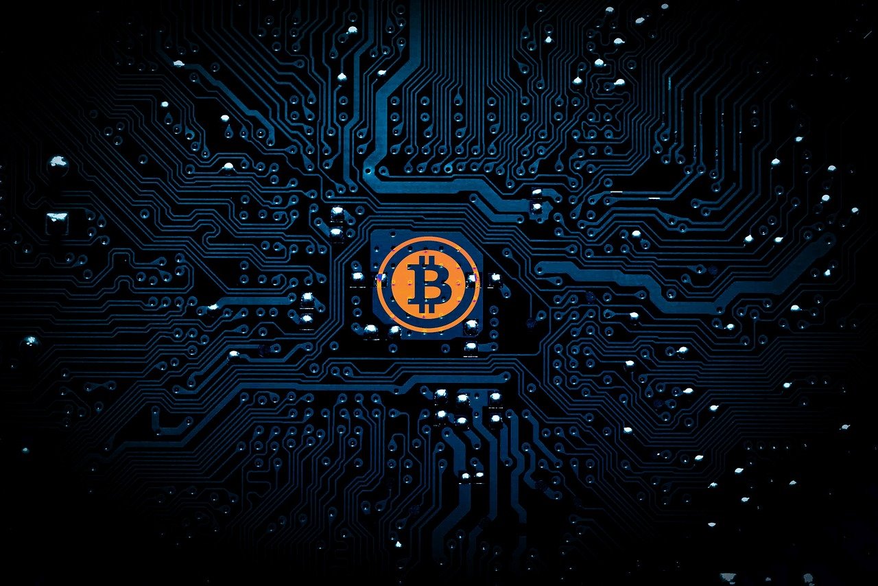 王鹤棣咸鱼飞升，职场之路的奋斗与蜕变